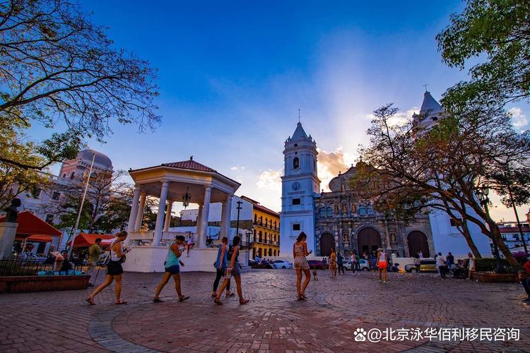 移民中介提供专业指导与全流程服务,客户可通过机构获取政策解读,材料